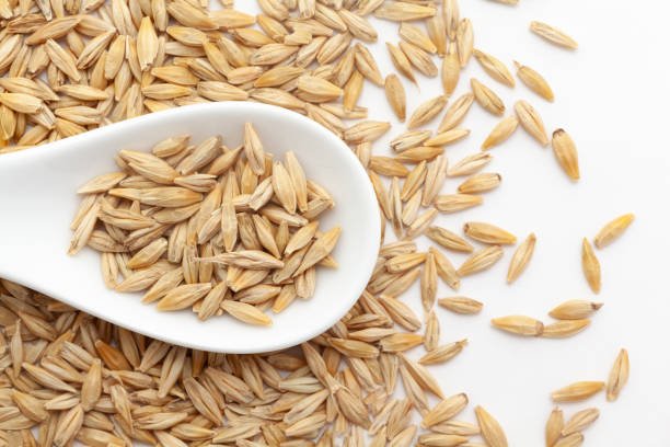 Macro close-up of organic Barley (Hordeum Vulgare) or jau grains on a white ceramic soup spoon. Top view, over a gradient background of itself.