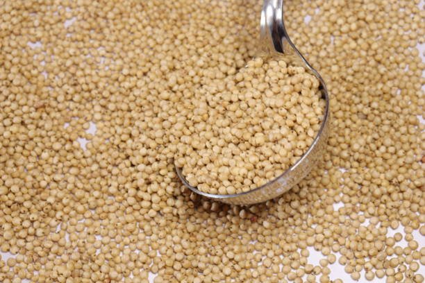 Organic jawar seeds isolated on white background